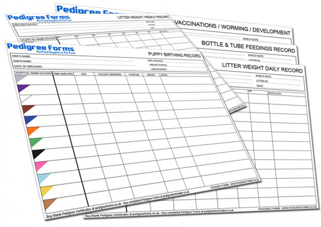 dog breeder record keeping forms